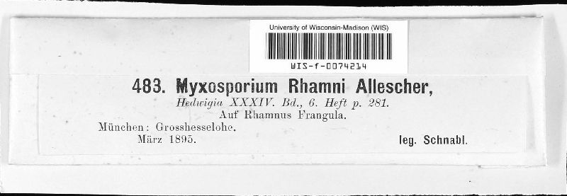 Myxosporium rhamni image
