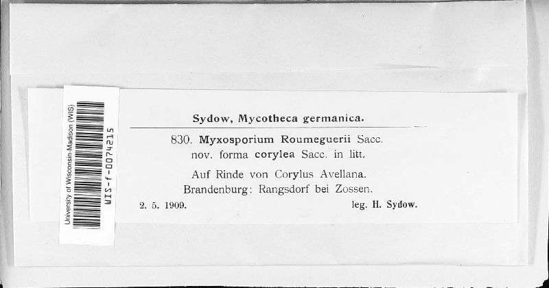 Myxosporium roumeguerei image