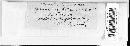 Myxofusicoccum sticticum image