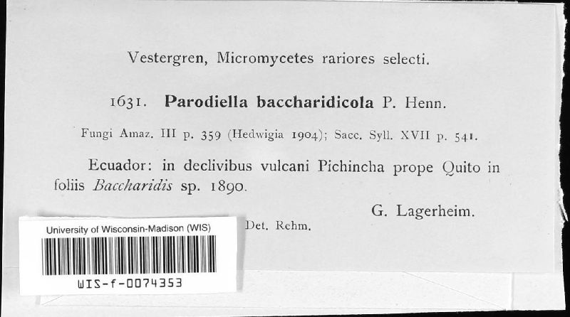 Parodiella baccharidicola image