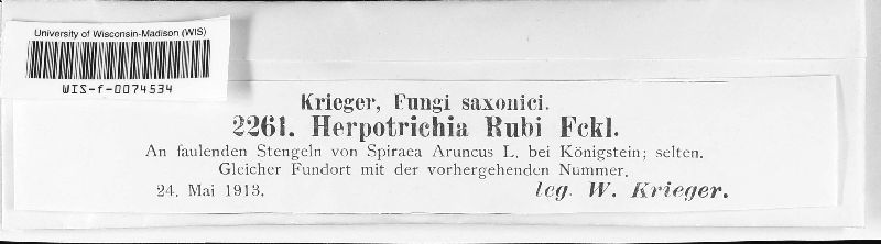Herpotrichia rubi image