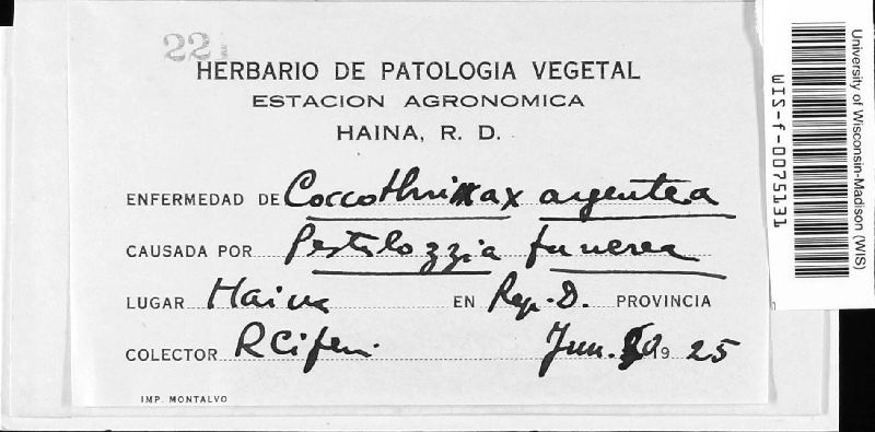 Pestalozzia image
