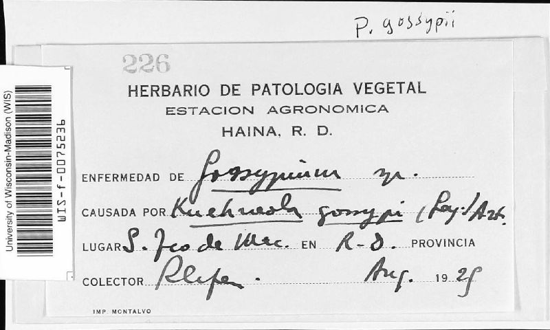 Phakopsora gossypii image