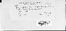 Peronospora tribulina image