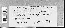Peronospora grisea image