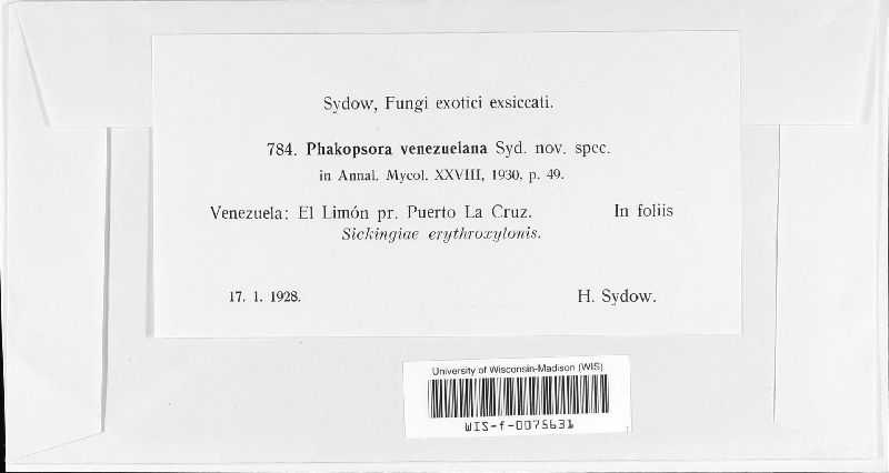 Phakopsora venezuelana image