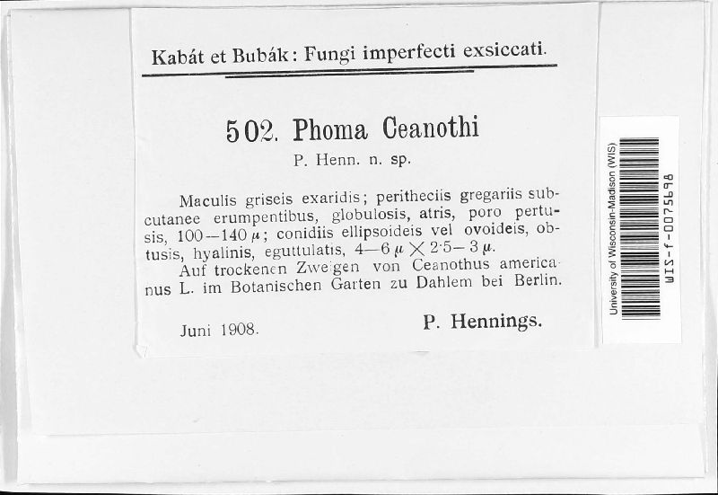 Phoma ceanothi image