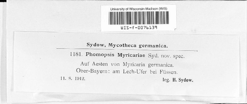 Phomopsis myricariae image