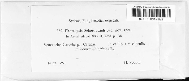 Phomopsis schoenocauli image