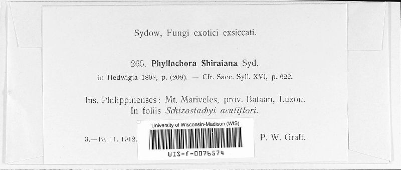 Phyllachora shiraiana image