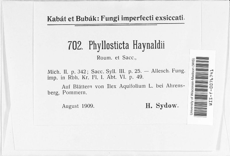 Phyllosticta haynaldii image