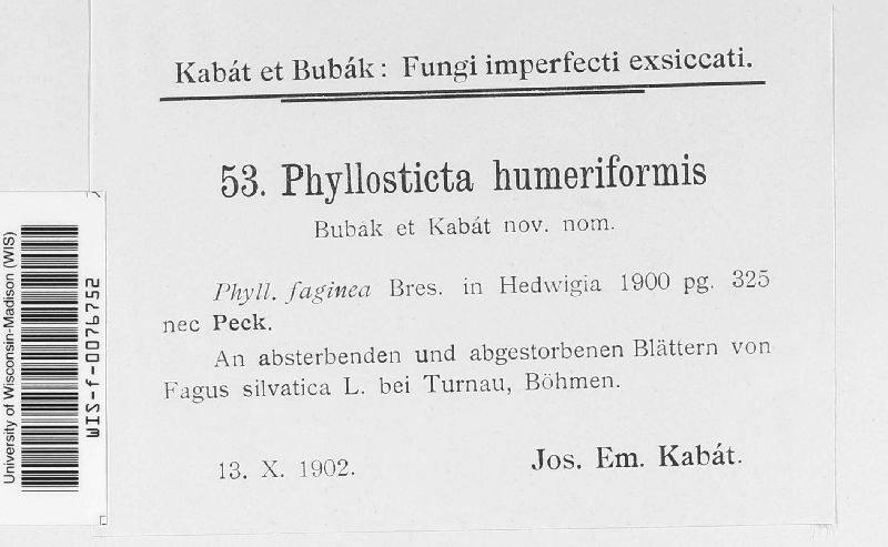 Phyllosticta humeriformis image