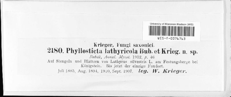 Phyllosticta lathyricola image