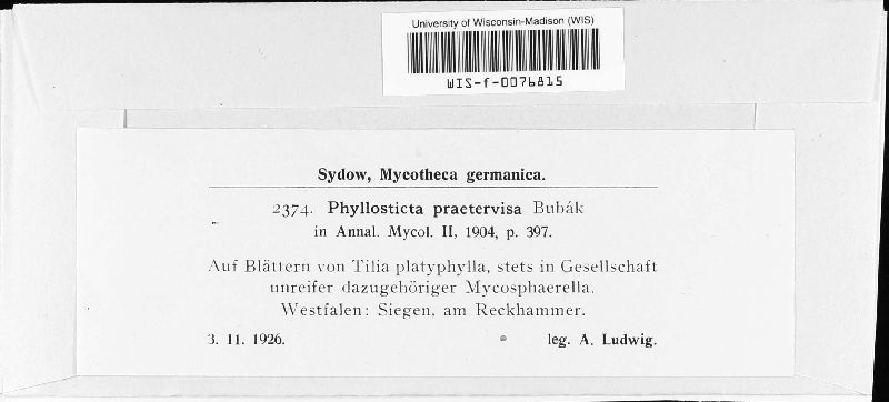 Phyllosticta praetervisa image