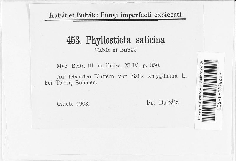 Phyllosticta salicina image