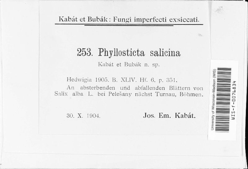 Phyllosticta salicina image