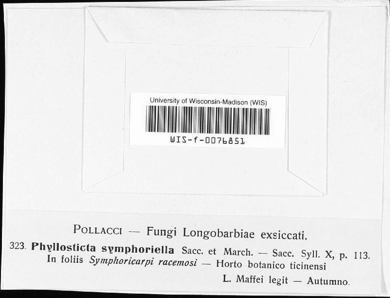 Phyllosticta symphoriella image
