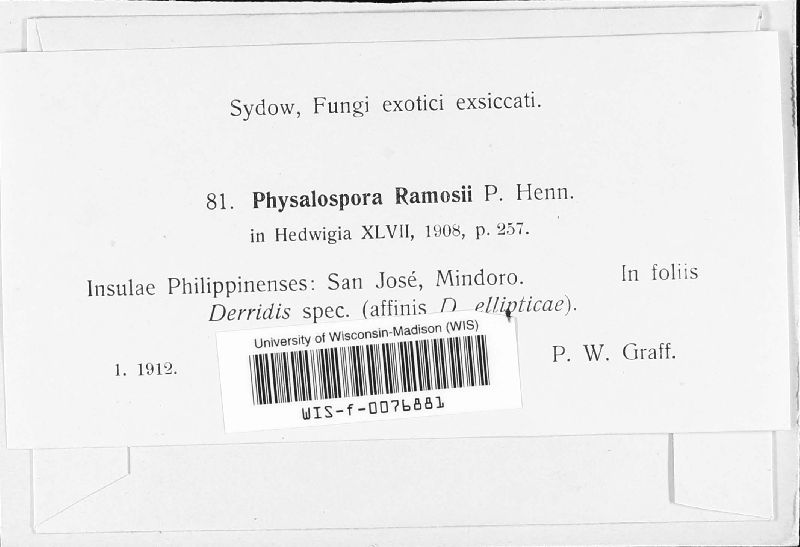 Physalospora ramosii image