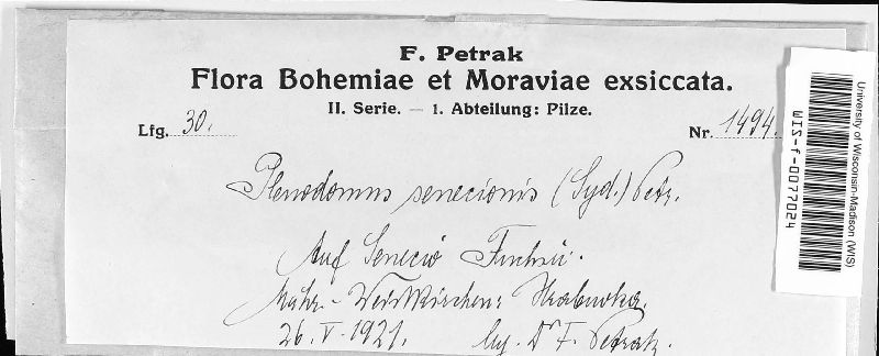 Plenodomus senecionis image