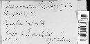 Cinereomyces lindbladii image