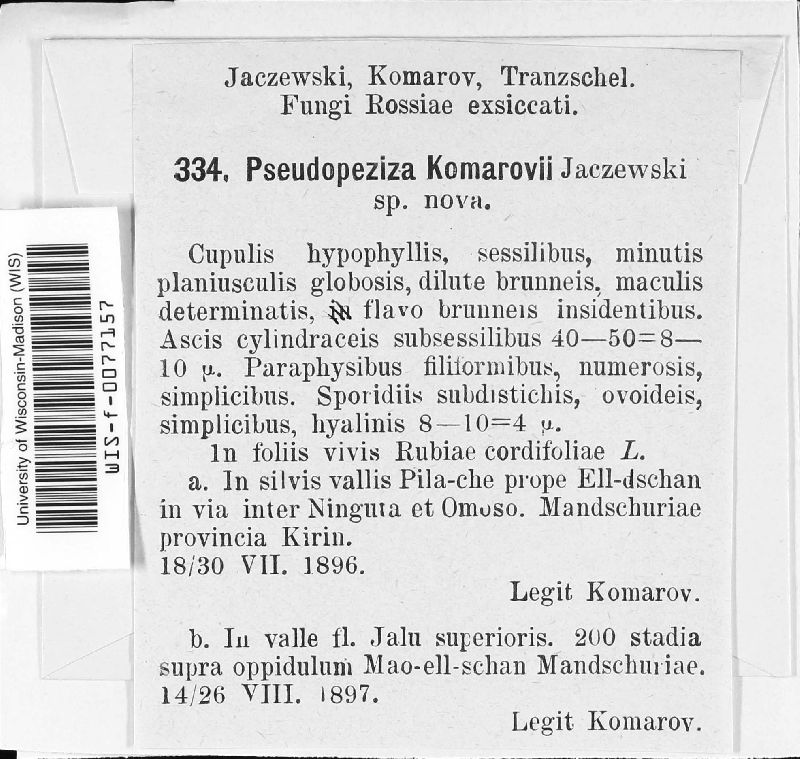 Pseudopeziza komarovii image