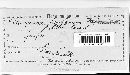 Stemphylium vesicarium image
