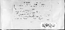 Trichaptum abietinum image