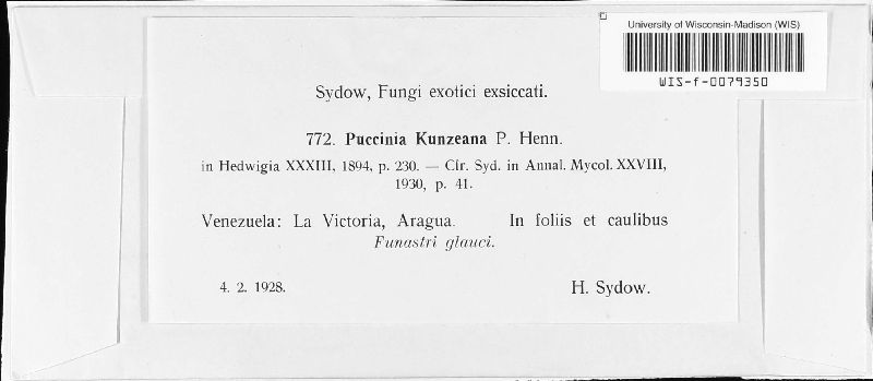 Puccinia kunzeana image