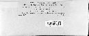 Pucciniastrum goeppertianum image
