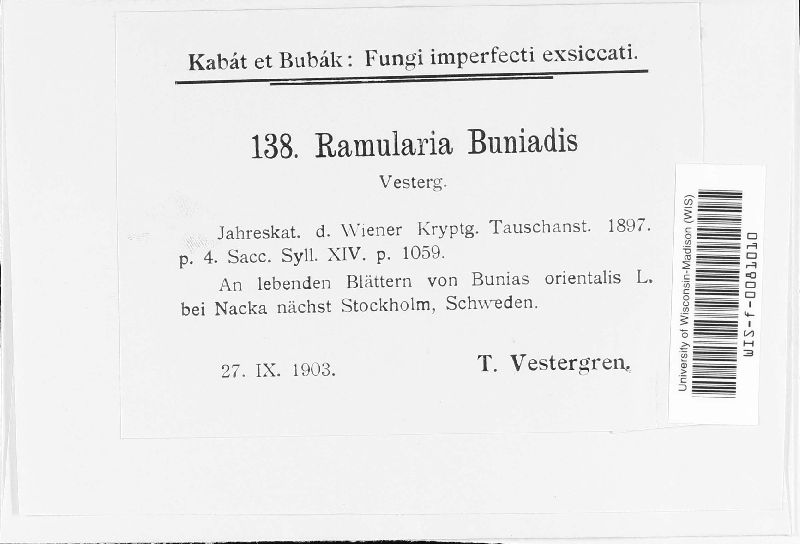 Ramularia buniadis image