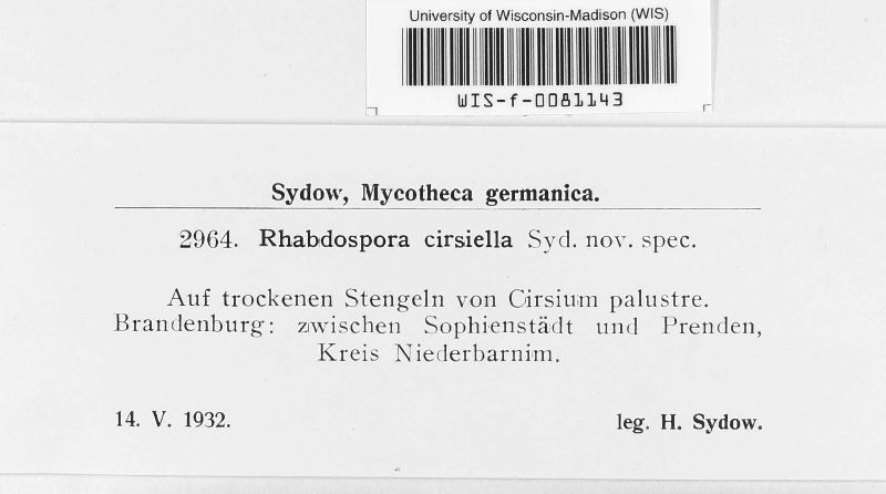 Rhabdospora cirsiella image
