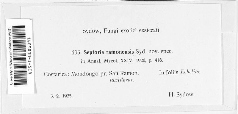 Septoria ramonensis image