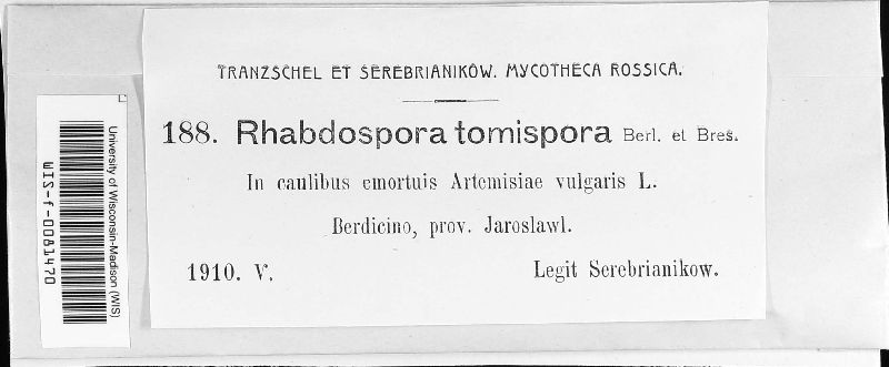 Rhabdospora tomispora image