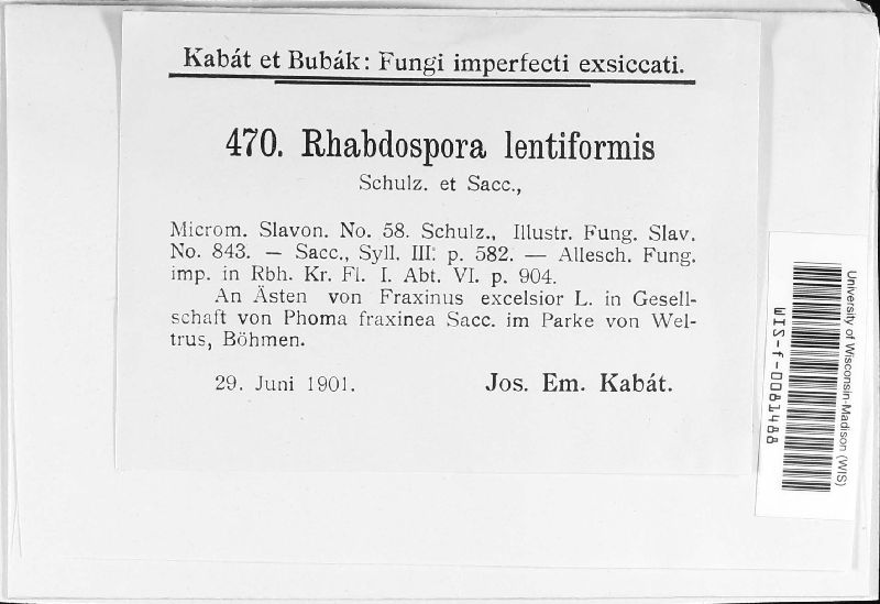 Rhabdospora lentiformis image
