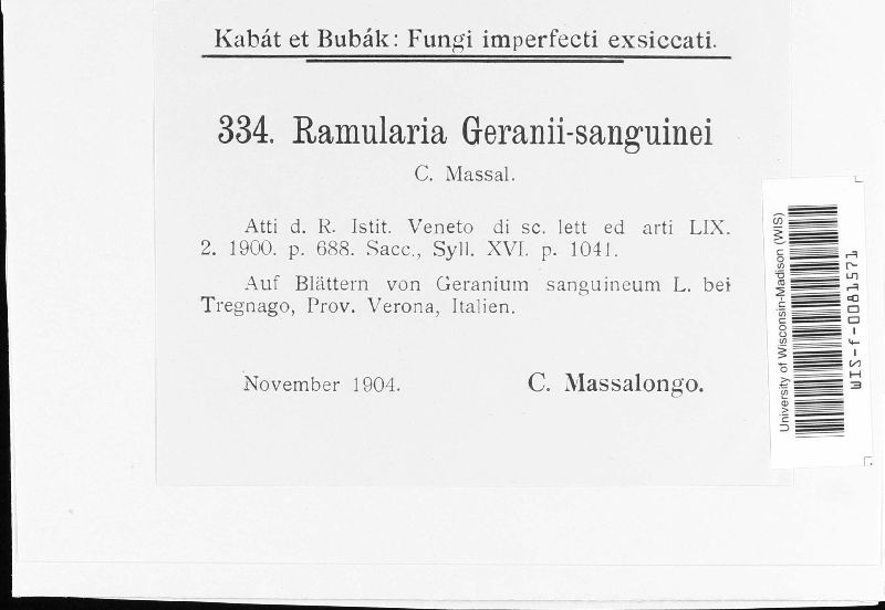 Ramularia geranii-sanguinei image