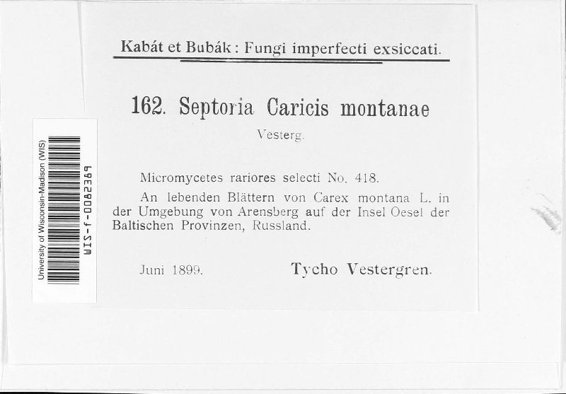 Septoria caricis-montanae image