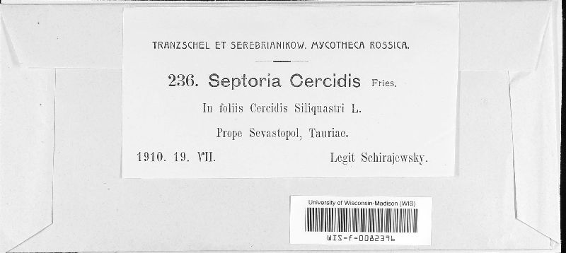 Septoria cercidis image
