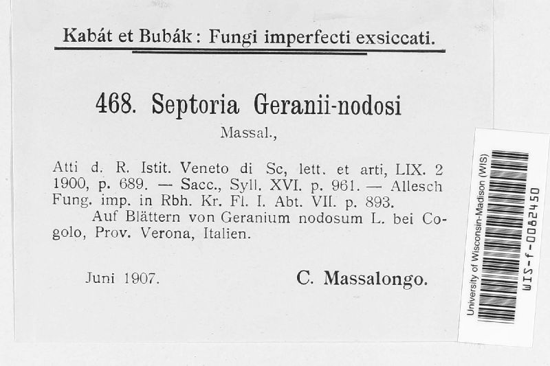 Septoria geranii-nodosi image
