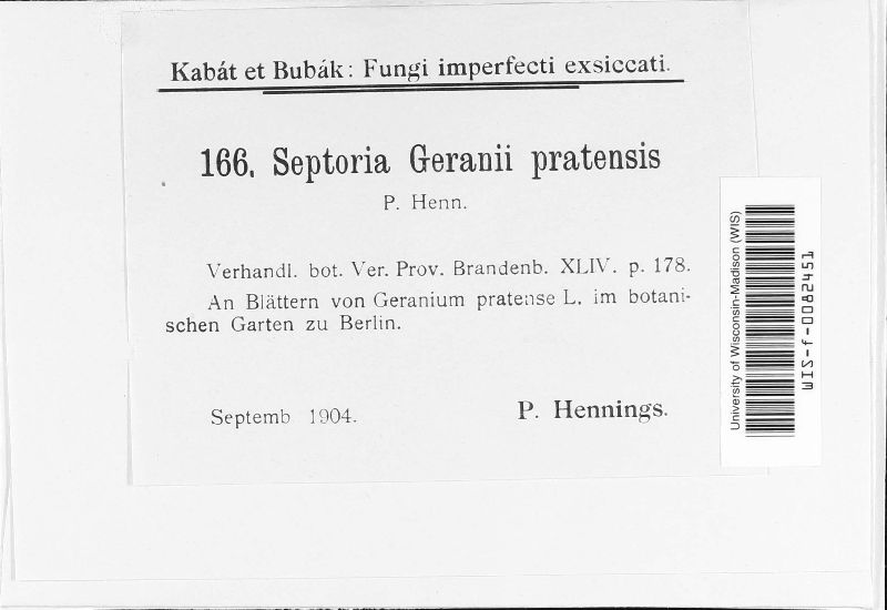 Septoria geranii-pratensis image
