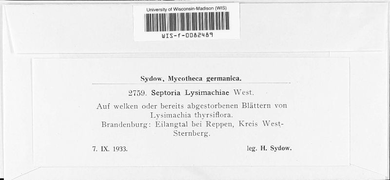 Septoria lysimachiae image