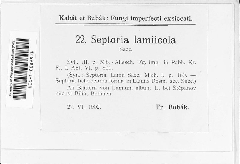 Septoria lamiicola image