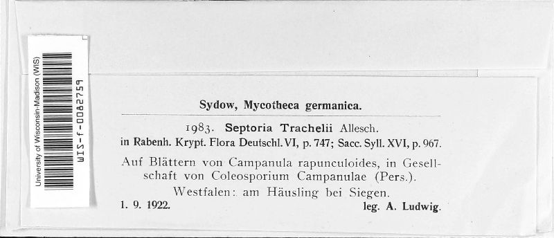 Septoria trachelii image