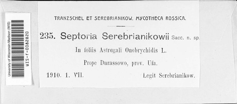 Septoria serebrianikowii image