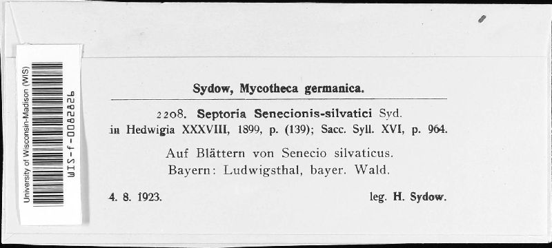 Septoria senecionis-silvatici image