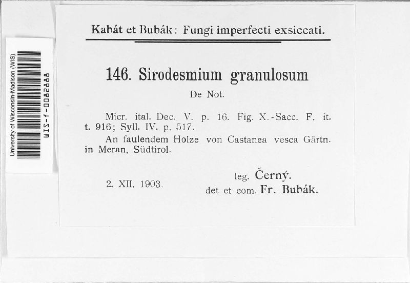 Sirodesmium granulosum image