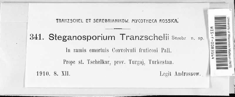Steganosporium tranzschelii image