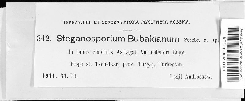 Steganosporium bubakianum image