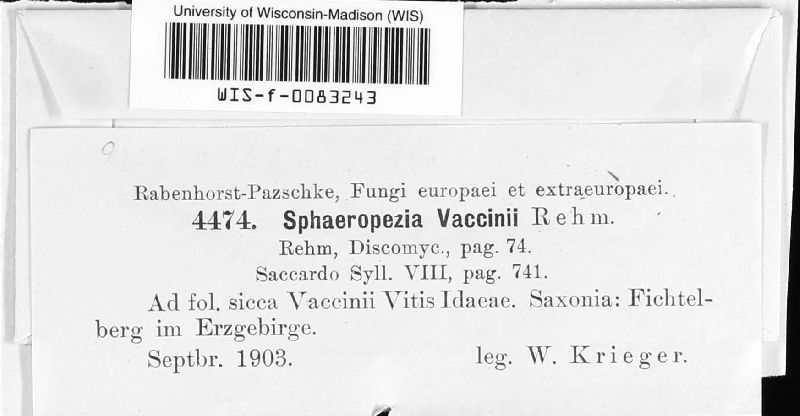 Eupropolella vaccinii image