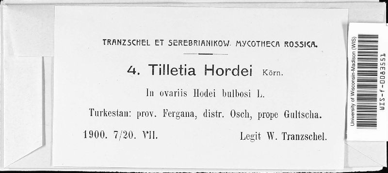 Tilletia hordei image