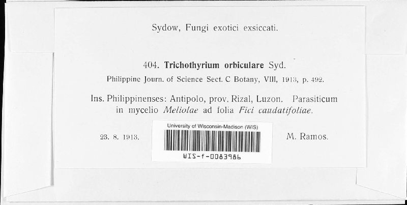 Trichothyrium orbiculare image